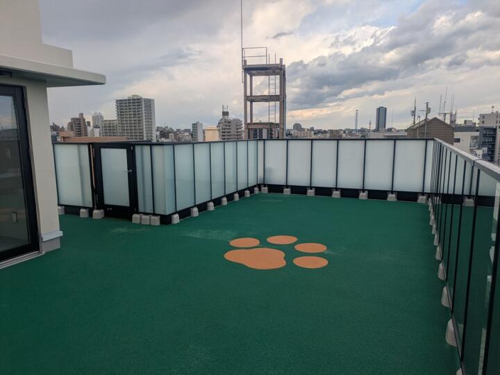 屋上ドッグラン