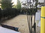 画像19