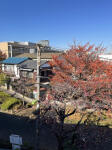 画像17