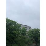 画像19