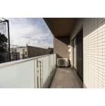 画像17