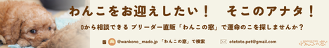 わんこの窓