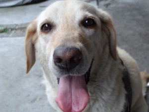 c7e733835ed4267f6b3870c4dccf6a19_s