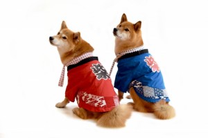 d0de0d68feee233aad194ef39a60b9bc_s